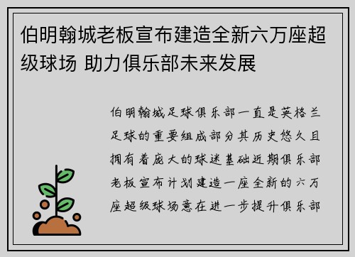 伯明翰城老板宣布建造全新六万座超级球场 助力俱乐部未来发展